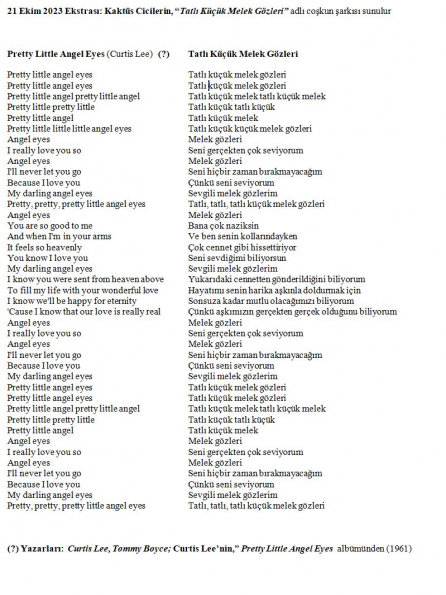 Melek Gözleri - Sözler