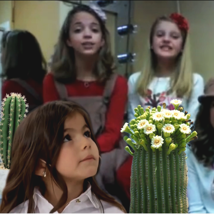 5 Kaktüs Cicisi V1.1