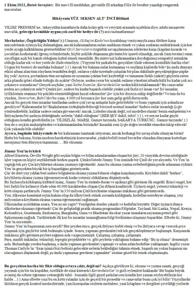 53 numaralı yorumum A