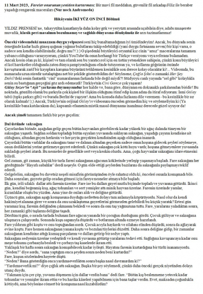 77 numaralı yorumum A