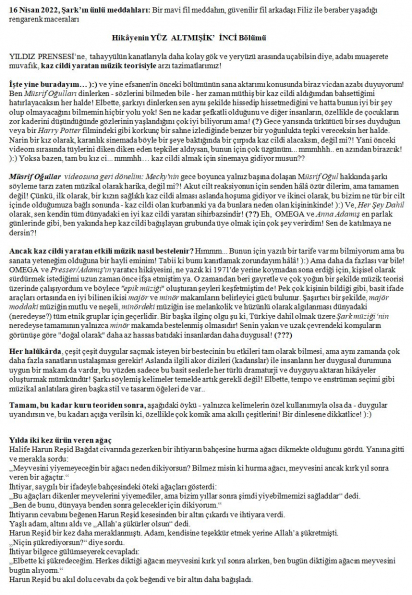 29 numaralı yorumum A