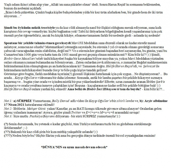 29 numaralı yorumum B