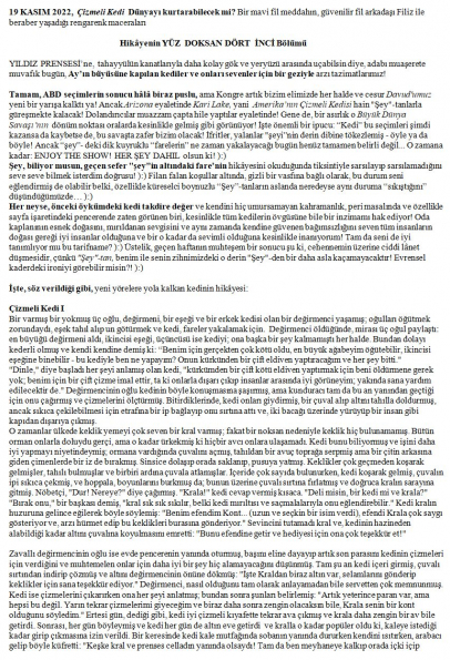 60 numaralı yorumum A