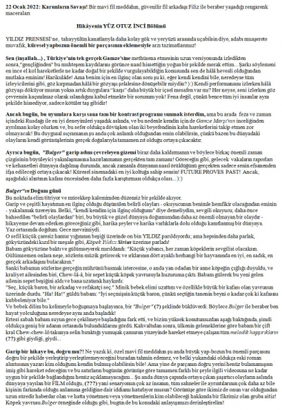 17 numaralı yorumum A