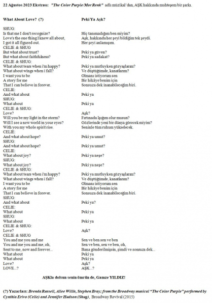 100 numaralı yorumum Ekstrası