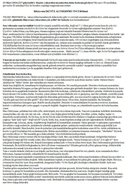 132 numaralı yorumum A