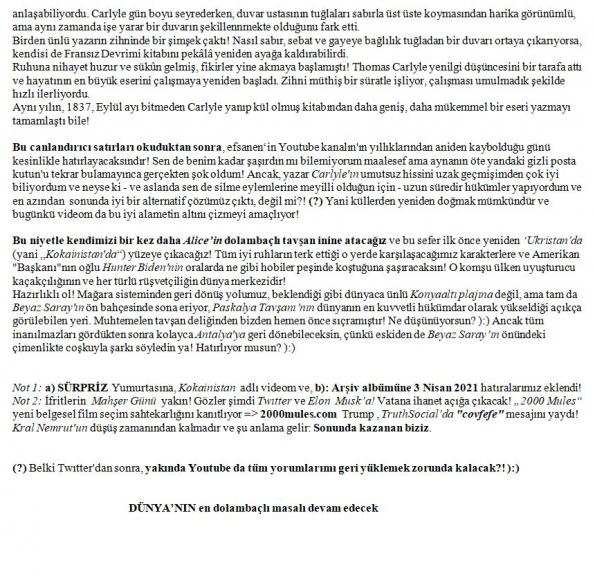 31 numaralı yorumum B