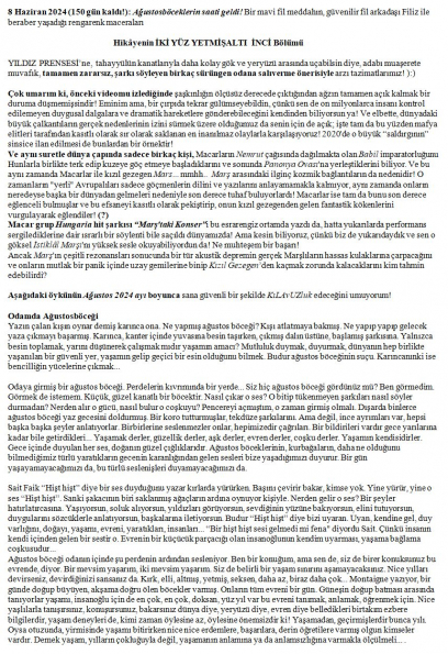 143 numaralı yorumum A