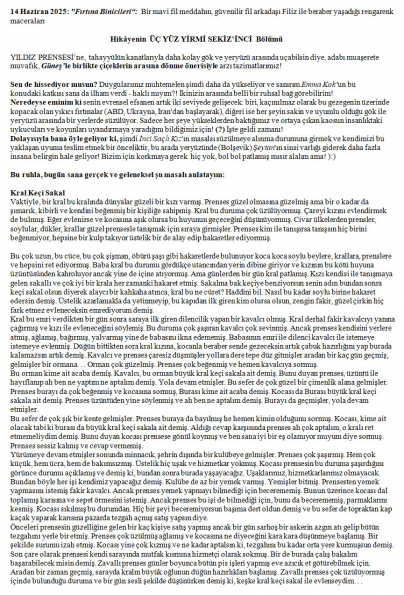 197 numaralı yorumum A