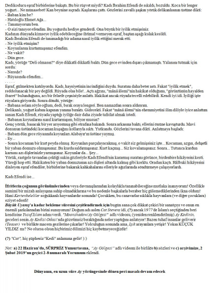 145 numaralı yorumum B