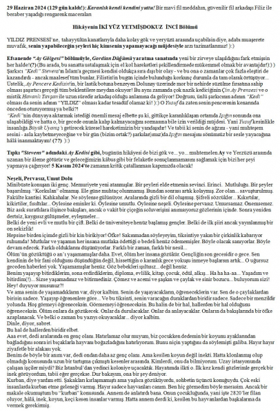 146 numaralı yorumum A