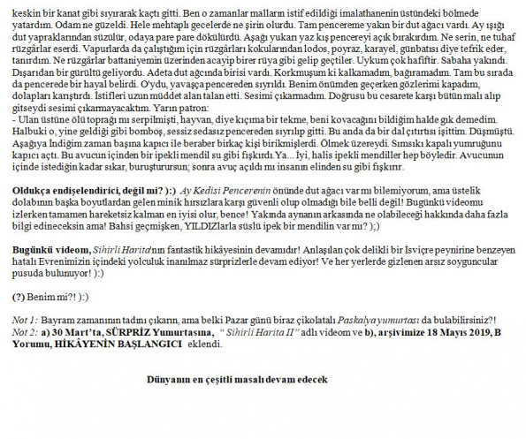 133 numaralı yorumum B