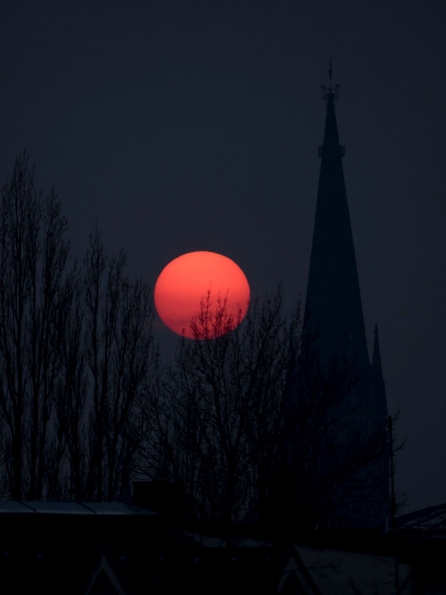 OLYMPUS DIGITAL CAMERA