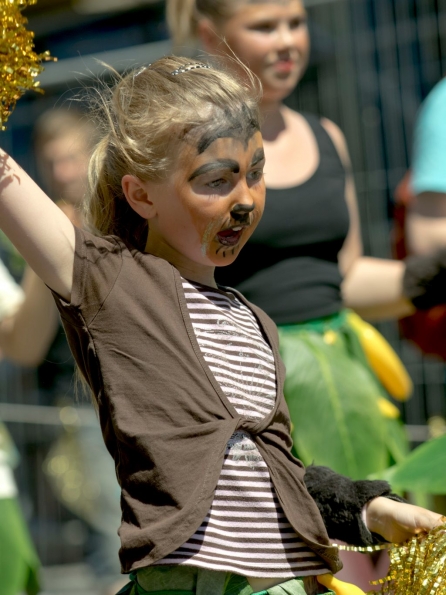 OLYMPUS DIGITAL CAMERA