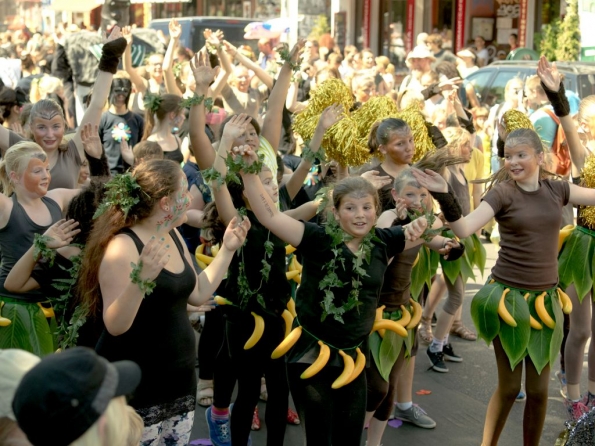 OLYMPUS DIGITAL CAMERA