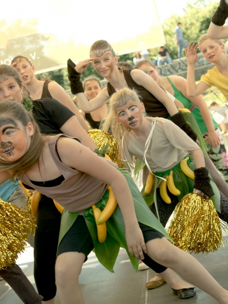 OLYMPUS DIGITAL CAMERA