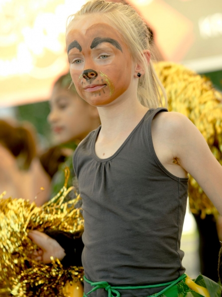 OLYMPUS DIGITAL CAMERA