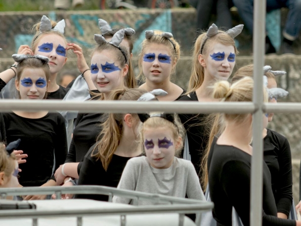 OLYMPUS DIGITAL CAMERA