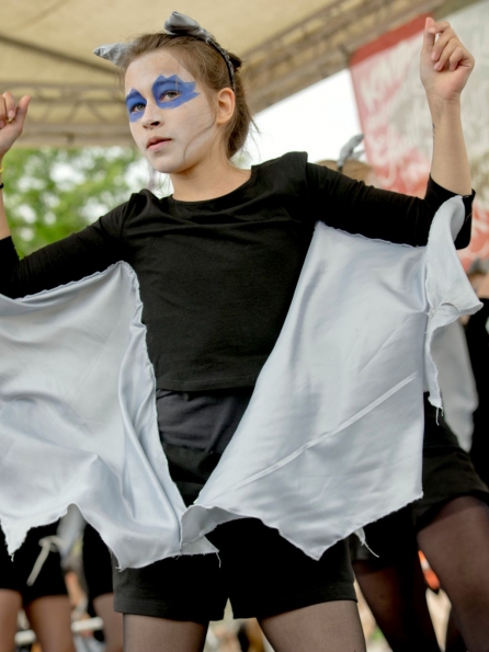 OLYMPUS DIGITAL CAMERA