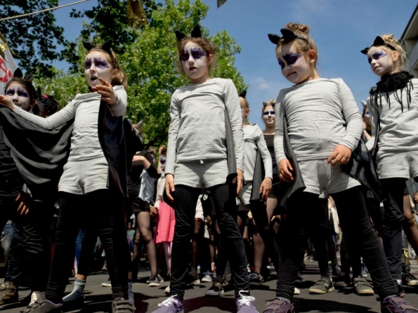 OLYMPUS DIGITAL CAMERA