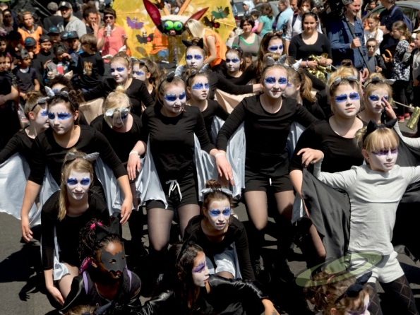 OLYMPUS DIGITAL CAMERA