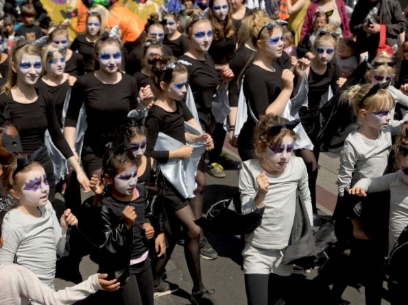 OLYMPUS DIGITAL CAMERA