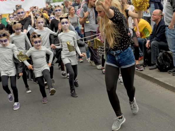 OLYMPUS DIGITAL CAMERA