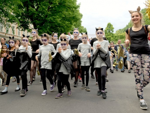 OLYMPUS DIGITAL CAMERA