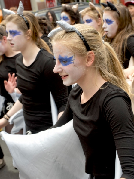 OLYMPUS DIGITAL CAMERA