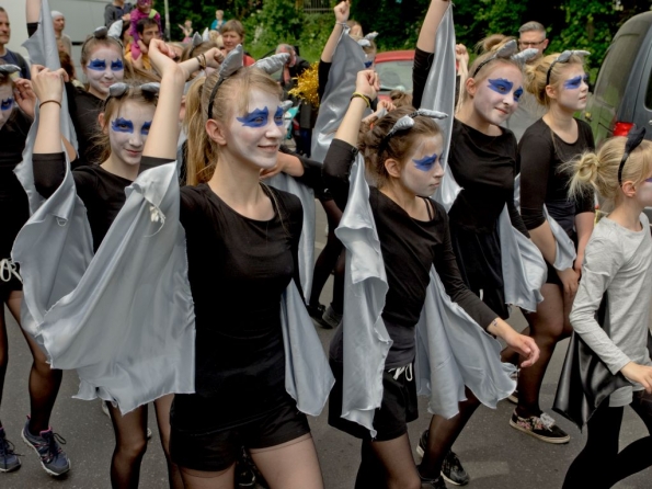 OLYMPUS DIGITAL CAMERA