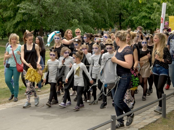 OLYMPUS DIGITAL CAMERA