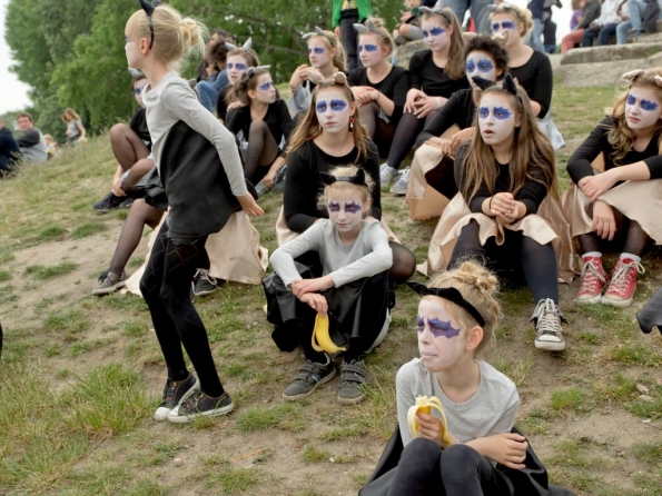 OLYMPUS DIGITAL CAMERA