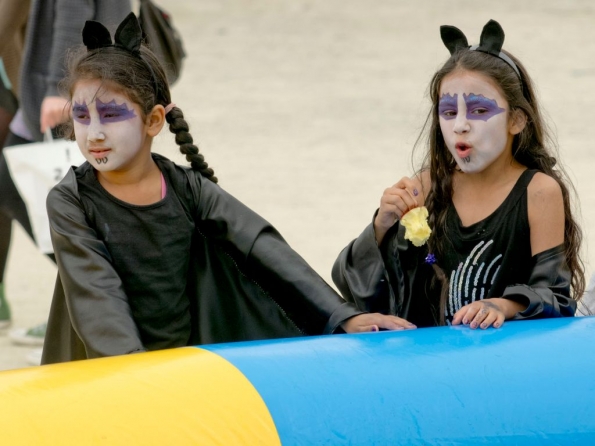 OLYMPUS DIGITAL CAMERA