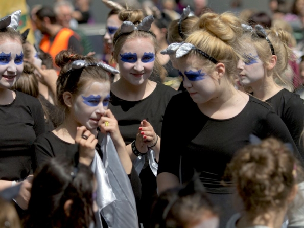 OLYMPUS DIGITAL CAMERA