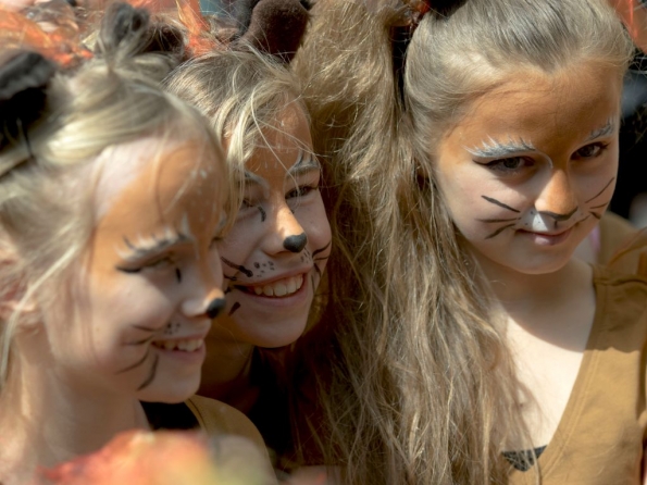 OLYMPUS DIGITAL CAMERA