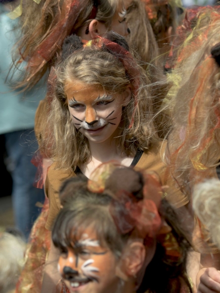 OLYMPUS DIGITAL CAMERA