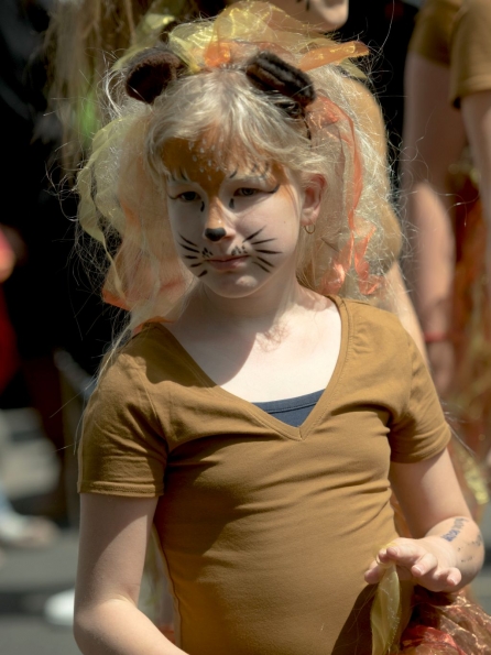 OLYMPUS DIGITAL CAMERA