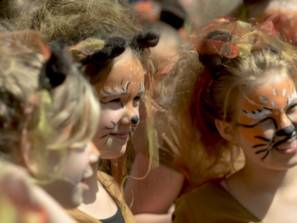 OLYMPUS DIGITAL CAMERA