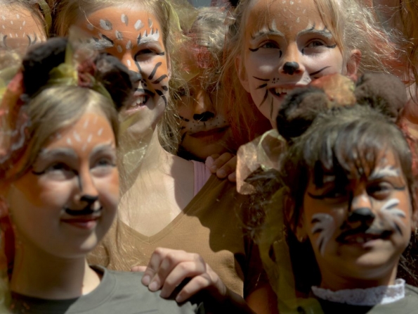 OLYMPUS DIGITAL CAMERA