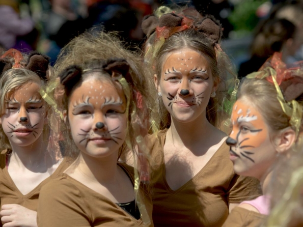 OLYMPUS DIGITAL CAMERA