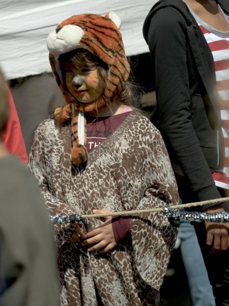 OLYMPUS DIGITAL CAMERA