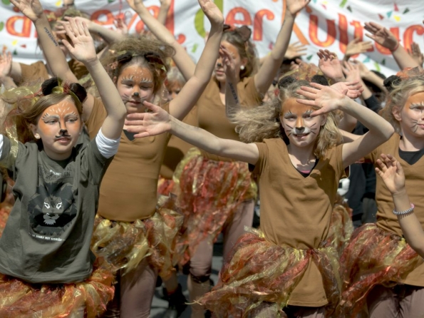 OLYMPUS DIGITAL CAMERA