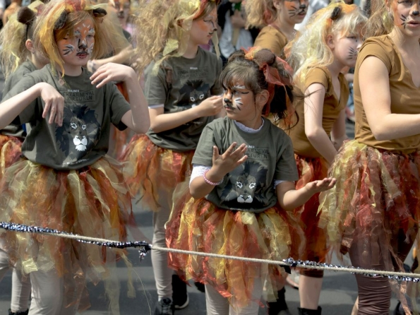 OLYMPUS DIGITAL CAMERA