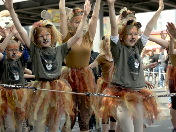 OLYMPUS DIGITAL CAMERA