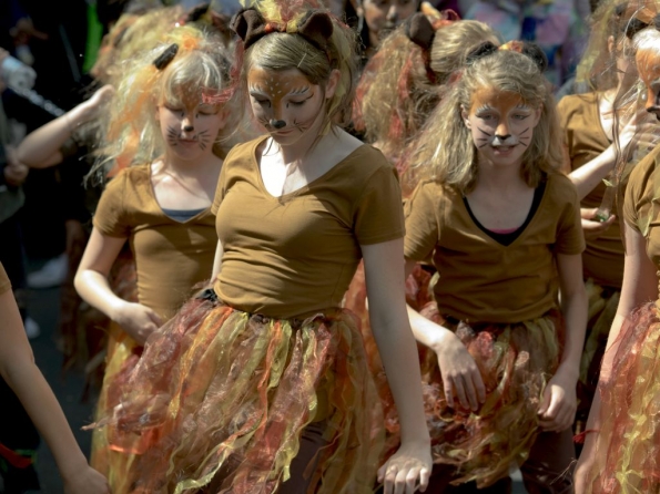 OLYMPUS DIGITAL CAMERA