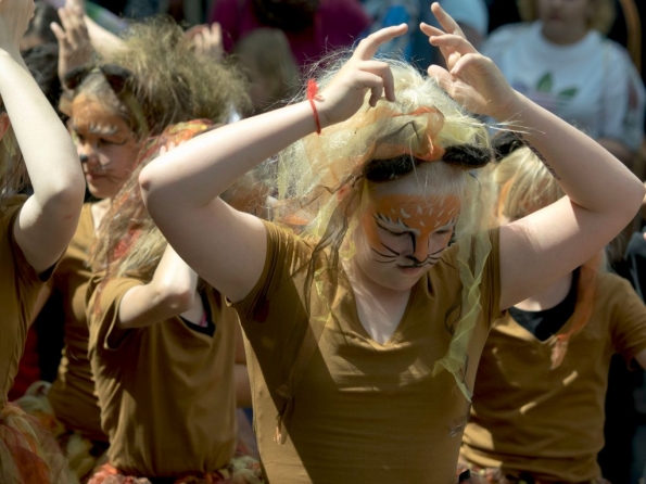 OLYMPUS DIGITAL CAMERA