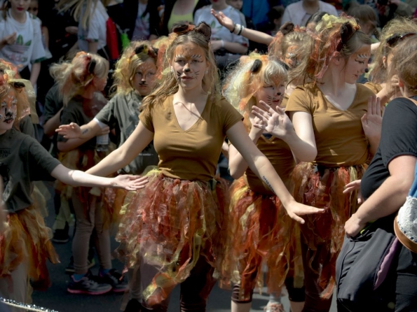 OLYMPUS DIGITAL CAMERA