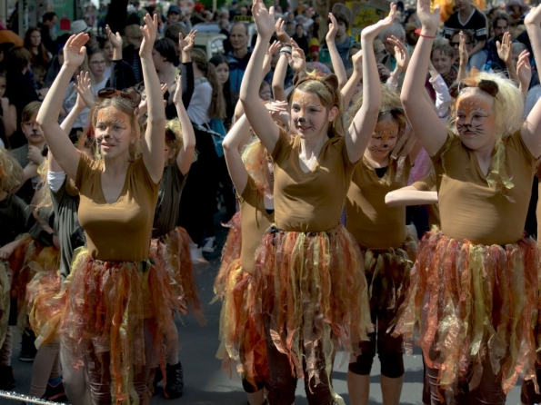 OLYMPUS DIGITAL CAMERA