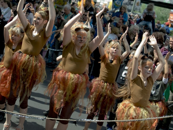 OLYMPUS DIGITAL CAMERA