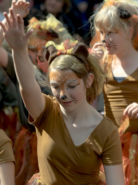 OLYMPUS DIGITAL CAMERA